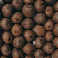 Réunion AOPn Kiwi