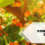 Food sovereignty: a central issue at medfel 2023